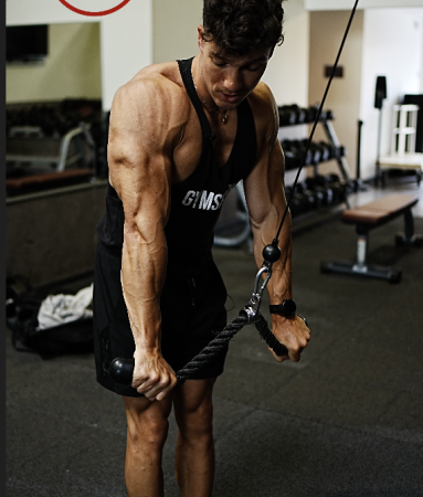 triceps
